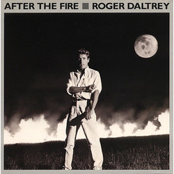 Roger Daltrey After The Fire Vinyl 7" USED