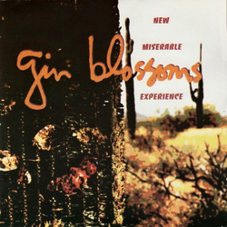 Gin Blossoms New Miserable Experience CD USED