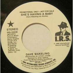 Dave Wakeling She's Having A Baby Vinyl 7" USED