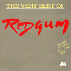 Redgum The Very Best Of Vinyl LP USED