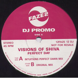 The Visions Of Shiva Perfect Day Vinyl 12" USED