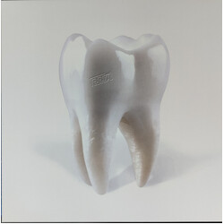 Porij Teething Vinyl LP USED