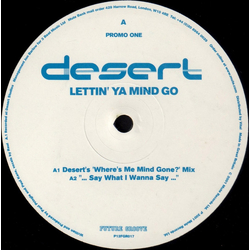 Desert Lettin' Ya Mind Go (Promo One) Vinyl 12" USED