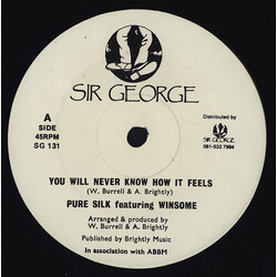Pure Silk / Winsome You Will Never Know How It Feels Vinyl 12" USED