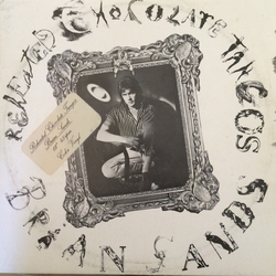 Brian Sands Reheated Chocolate Tangos Vinyl LP USED