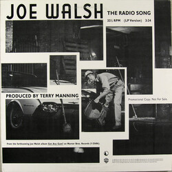 Joe Walsh The Radio Song Vinyl 12" USED