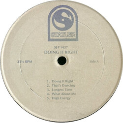 Unknown Artist Doing It Right Vinyl LP USED