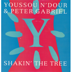 Youssou N'Dour / Peter Gabriel Shakin' The Tree Vinyl 7" USED