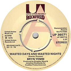 Bryn Yemm Wasted Days And Wasted Nights Vinyl 7" USED