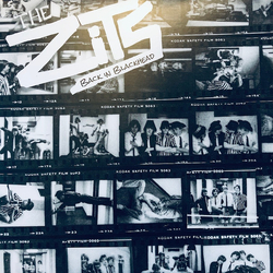 The Zits Back In Blackhead Vinyl LP USED