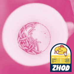 Zentralheizung Of Death Would You Rather...? Vinyl LP USED