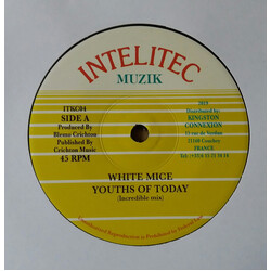 White Mice (2) Youths Of Today Vinyl 7" USED