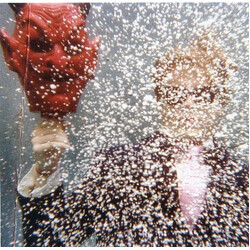 Ty Segall Ty Segall Vinyl 12" USED