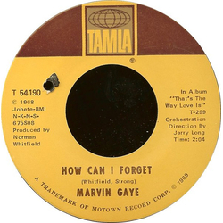 Marvin Gaye How Can I Forget / Gonna Give Her All The Love I've Got Vinyl 7" USED