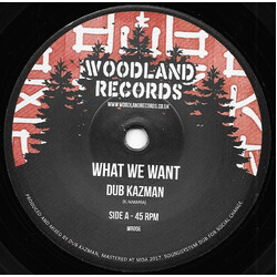 Dub Kazman What We Want Vinyl 7" USED