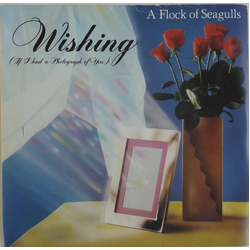A Flock Of Seagulls Wishing (If I Had A Photograph Of You) Vinyl 7" USED