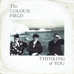 The Colourfield Thinking Of You Vinyl 7" USED