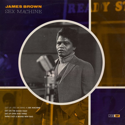 James Brown Sex Machine Vinyl 12" USED