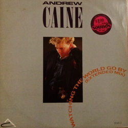 Andy Caine Watching The World Go By Vinyl 12" USED
