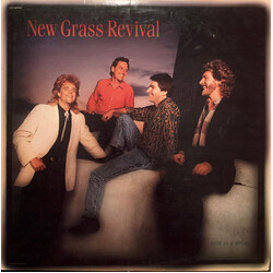 New Grass Revival Hold To A Dream Vinyl LP USED