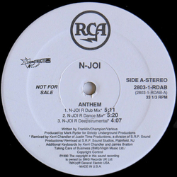 N-Joi Anthem Vinyl 12" USED