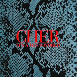 Cher It's A Man's World Vinyl 4 LP Box Set USED