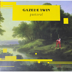 Gazelle Twin Pastoral Vinyl LP USED
