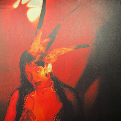 Fran Lobo Burning It Feels Like Vinyl LP USED