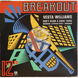 Vesta Williams Don't Blow A Good Thing (Extended Remix) Vinyl 12" USED