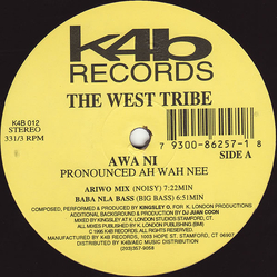 The West Tribe Awa Ni Vinyl 12" USED