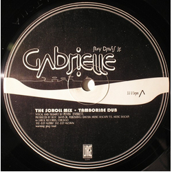 Roy Davis Jr. Gabrielle Vinyl 12" USED