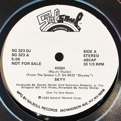 Skyy High / First Time Around Vinyl 12" USED