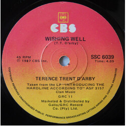 Terence Trent D'Arby Wishing Well Vinyl 7" USED