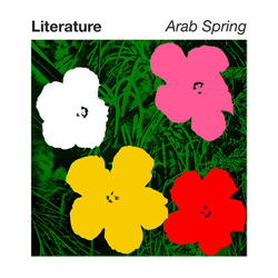 Literature Arab Spring Vinyl 12" USED