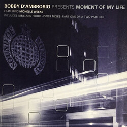 Bobby D'Ambrosio / Michelle Weeks Moment Of My Life Vinyl 12" USED