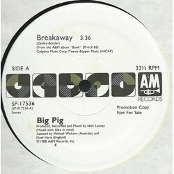 Big Pig Breakaway Vinyl 12" USED