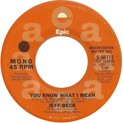 Jeff Beck You Know What I Mean Vinyl 7" USED