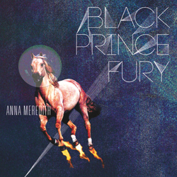 Anna Meredith Black Prince Fury Vinyl 12" USED