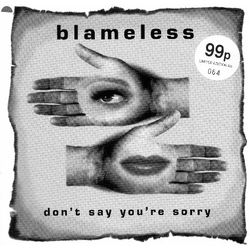 Blameless Don't Say You're Sorry Vinyl 7" USED