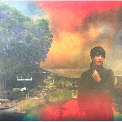 Sharon Van Etten We've Been Going About This All Wrong Vinyl LP USED