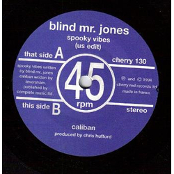 Blind Mr. Jones Spooky Vibes Vinyl 7" USED