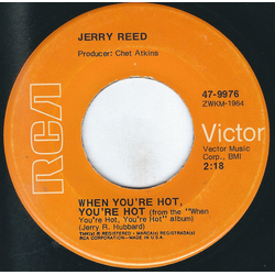 Jerry Reed When You're Hot, You're Hot / You've Been Cryin' Again Vinyl 7" USED