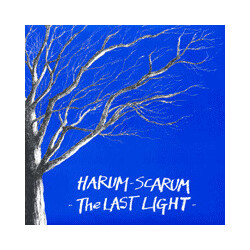 Harum-Scarum The Last Light USED VINYL 12INCH 45 RPM