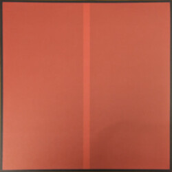 Genesis Owusu Struggler Vinyl LP USED