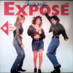 Exposé What You Don't Know Vinyl LP USED