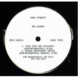 P.M. Dawn You Got Me Floatin' Vinyl 12" USED