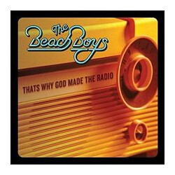 The Beach Boys That's Why God Made The Radio Vinyl 7" USED