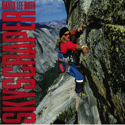 David Lee Roth Skyscraper Vinyl LP USED