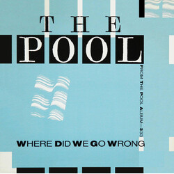 The Pool Where Did We Go Wrong Vinyl 12" USED