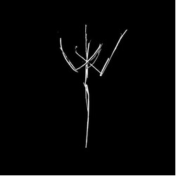 A/N【eɪ-ɛn】 -素描集Ⅰ- Vinyl LP USED